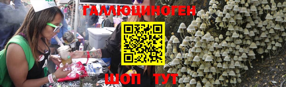 Галлюциногенные грибы мицелий  Псилоцибиновые грибы Psilocybe  Вход с VPN  Гусь-Хрустальный 